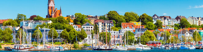 Bettwanzen in Flensburg bekämpfen