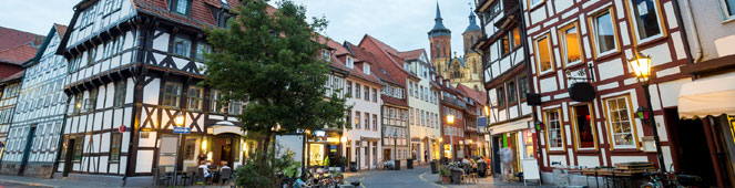 Bettwanzen in Göttingen bekämpfen