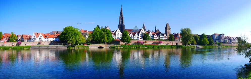 Bettwanzenbekämpfung Ulm