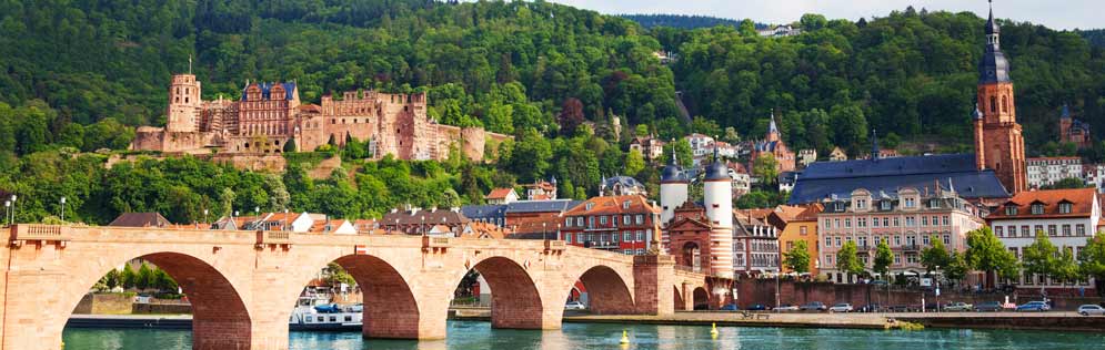 Bettwanzenbekämpfung Heidelberg