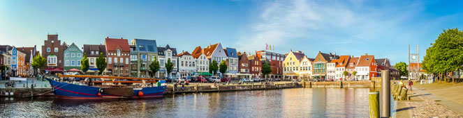 Bettwanzen in Husum bekämpfen