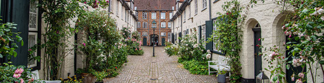 Bettwanzen in Lübeck bekämpfen