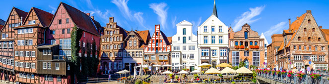 Bettwanzen in Lüneburg bekämpfen