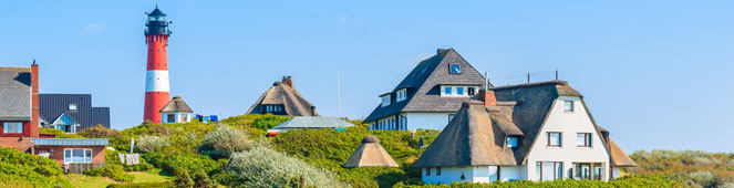 Bettwanzen auf Sylt bekämpfen